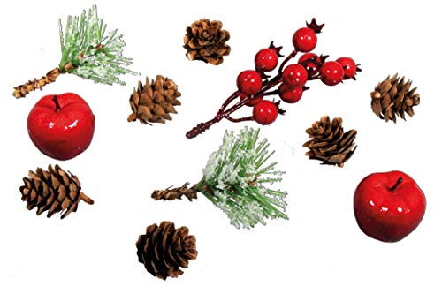 Rayher 55918000 Mélange naturel av. pommes & baies ass., p.... en promo à 4,79€ (-44%) sur Amazon FR