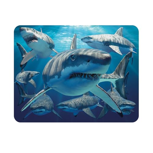 3D LiveLife Imán - Grandes Tiburones Blancos de Deluxebase.... - Jouets & Jeux Amazon Espagne à 2.16€