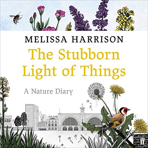 The Stubborn Light of Things: A Nature Diary - Livres & eBooks Amazon Royaume-Uni à 11.23€