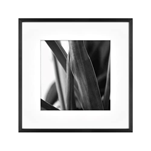 MCS Gallery Wall Frame, Black, 12 x 12 in matted to 8 x 8 in - High-Tech & Électronique Amazon Royaume-Uni à 12.18€