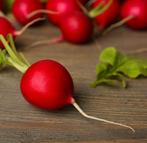 RAVANELLO CHERRY BELLE - Jardin & Extérieur Amazon Italie à 2.00€