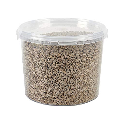 Garden Ting Premium Sunflower Hearts Kernels, Wild Bird... - Jardin & Extérieur Amazon Royaume-Uni à 7.99€