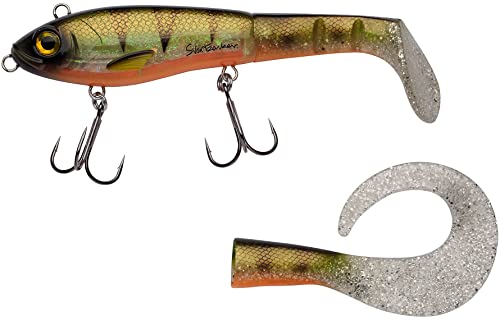 Abu Garcia Svartzonker Mchybride Leurre Brochet - Leurre de... - Sports & Fitness Amazon France à 14.90€