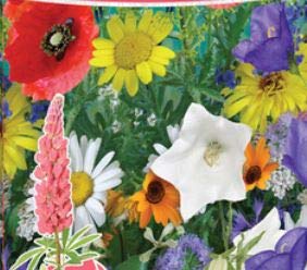 Pcs - 500x Stroherröhre Fleurs de Prairie Mélange Annuel... - Jardin & Extérieur Amazon France à 2.59€