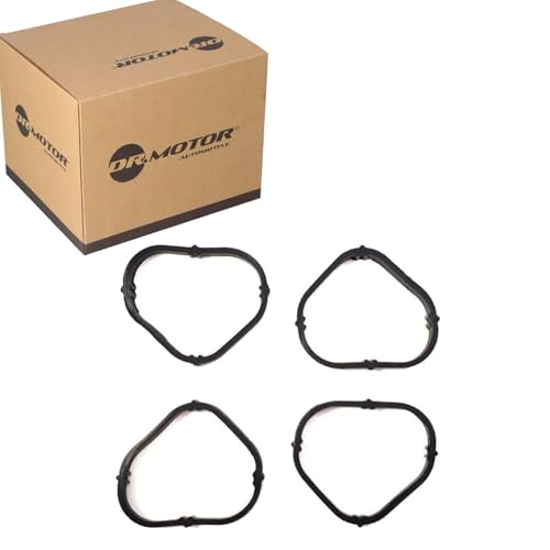 DR.MOTOR AUTOMOTIVE DRM094S Kit guarnizioni Collettore... - Auto & Moto Amazon Italie à 5.94€