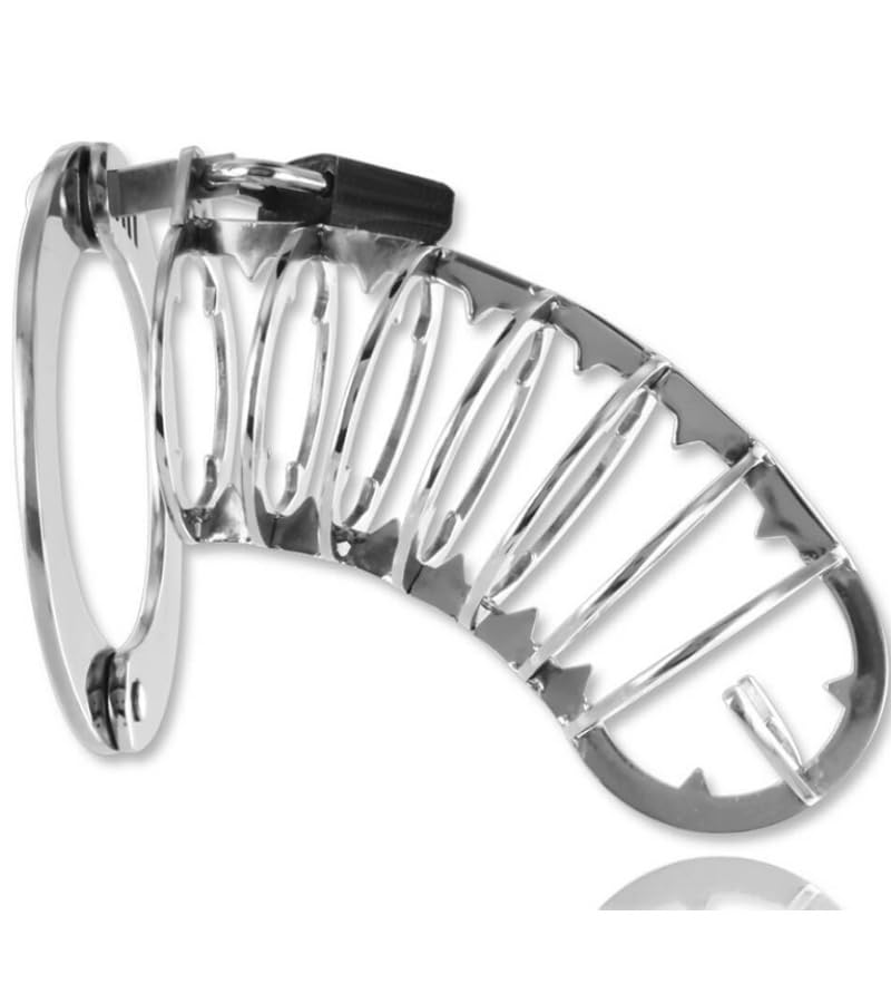 Metal Hard Metalhard Jaula Pene con Cierre Seguridad 14 Cm... - Amazon Espagne à 23.72€