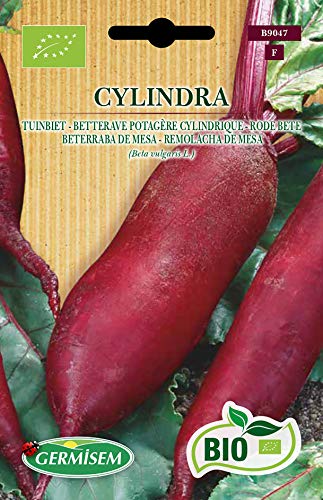 Germisem Bio Graines Betterave potagère Cylindrique CYLINDRA - Maison & Cuisine Amazon France à 4.35€