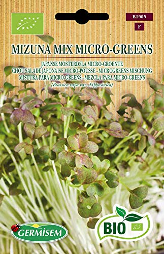 Germisem Biologico Mizuna Mix Micro-Greens Semi 10 g - Épicerie Amazon Italie à 5.50€