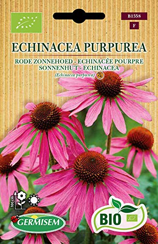 Germisem Biologico Echinacea Purpurea Semi di Echinacea... - Amazon Italy à 14.51€