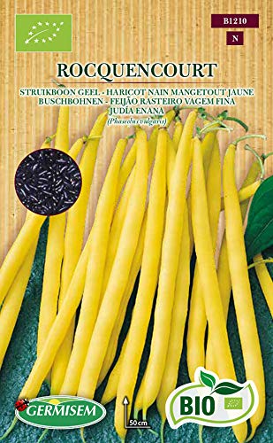 Germisem Biologico Rocquencourt Semi di Fagiolo Rampicante... - Tech & Electronics Amazon Italy à 18.08€