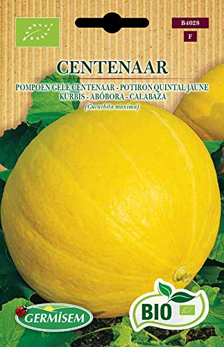 Germisem Biologico Centenar Semi di Zucca 2 g - Amazon Italie à 5.82€