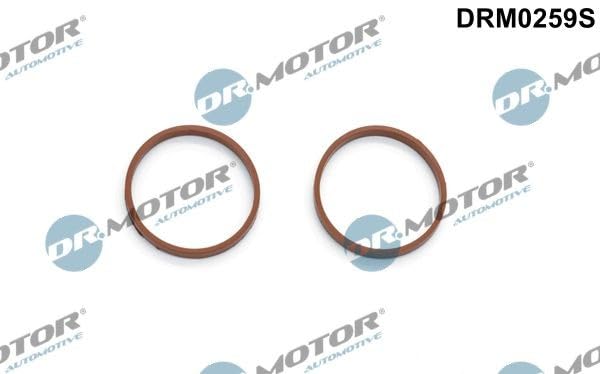 DR.MOTOR AUTOMOTIVE DRM0259S Kit guarnizioni Collettore... - Auto & Moto Amazon Italie à 3.93€