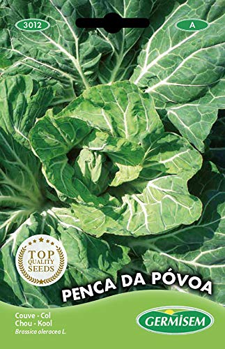 Germisem Kohl PENCA DE PÓVOA - Amazon Germany à 2.21€