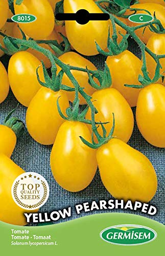 Germisem Yellow Pearshaped Semi di Pomodoro 0.5 g - Toys & Games Amazon Italy à 10.46€