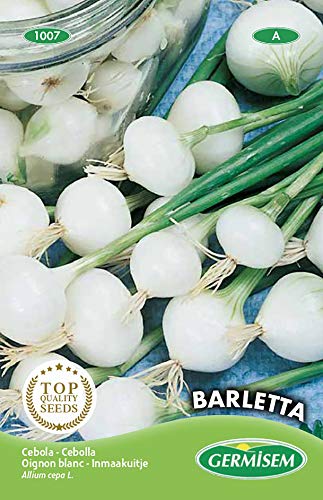 Germisem Barletta Semi di Cipolla 4 g - Bon plan à 2.70€