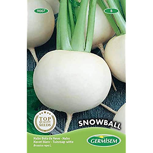 Germisem graines Navet blanc Snowball EC9007 - Sports & Fitness Amazon France à 4.20€