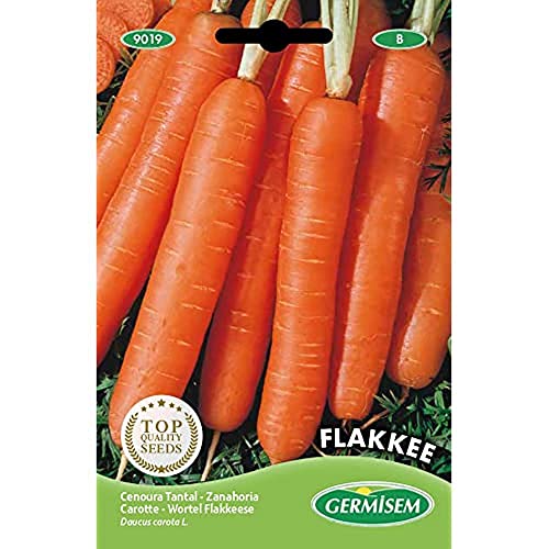 Germisem Flakkee Semi di Carota 10 g - Jardin & Extérieur Amazon Italie à 2.15€