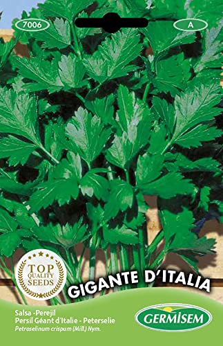 Germisem Gigante D'Italia Semi di Prezzemolo 10 g - Amazon Italie à 13.77€