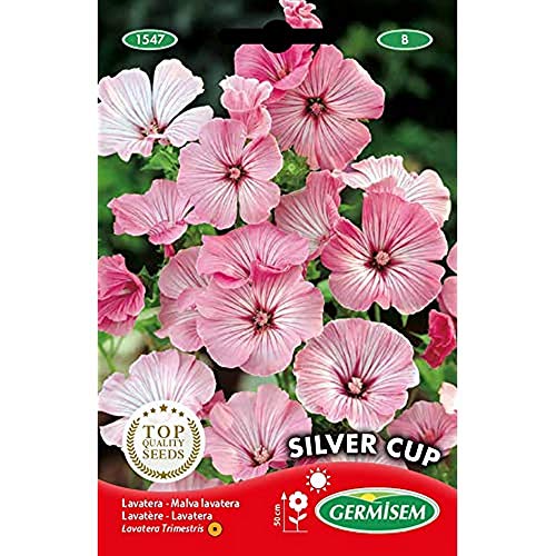 Germisem EC1547 Semi - Amazon Italy à 5.60€