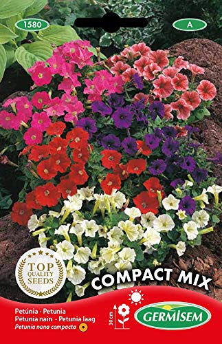 Germisem EC1580 Semi - Nouvelle promo Amazon à 5.26€