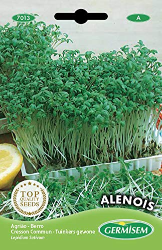 Germisem Alenois Semi di Crescione da Giardino 12 g - Amazon Italy à 5.59€