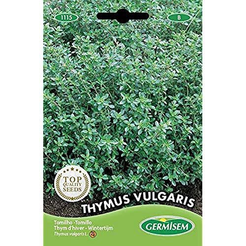 Germisem Thymus Vulgaris Semillas de Tomillo 0.5 g, EC1115 - Jardin & Extérieur en promo à 2.21€