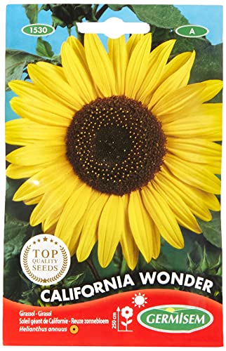 Germisem California Wonder Semi di Girasole 4 g - Amazon Italie à 5.55€