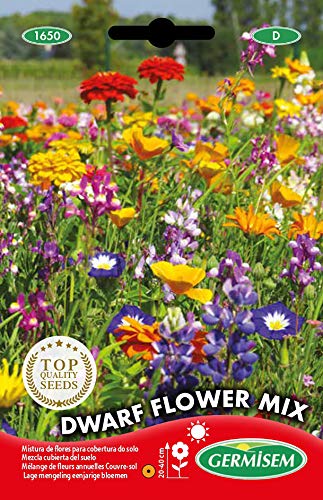 Germisem EC1650 Semi - Jardin & Extérieur Amazon Italie à 4.66€