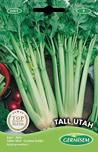 Germisem Tall Utah Semi di Sedano 3 g - Épicerie Amazon Italie à 4.42€