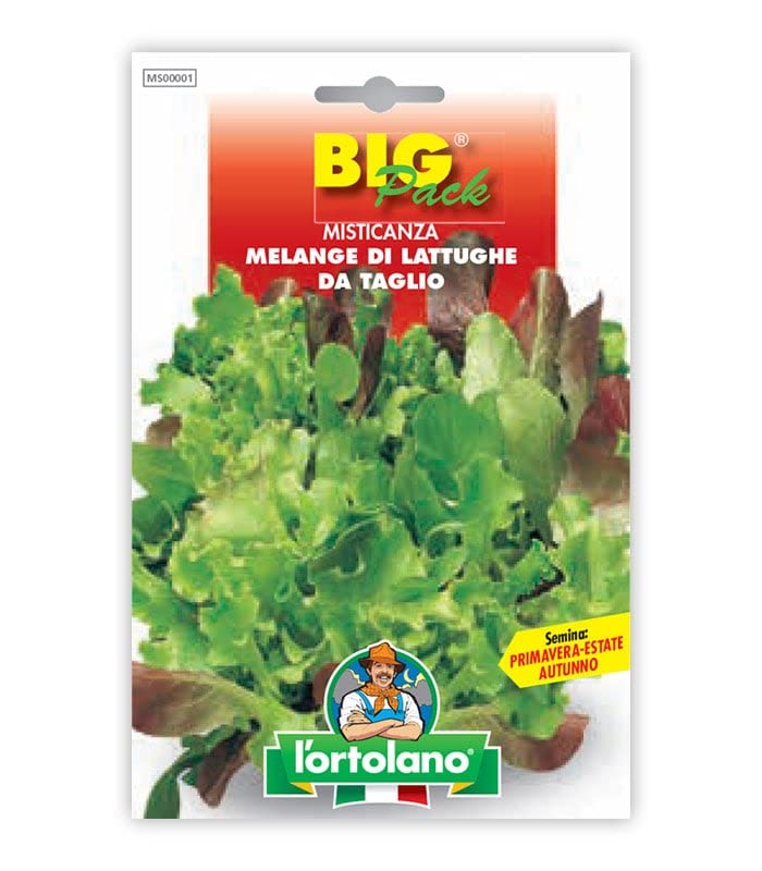 Big Pack Misticanza Lattughe da Taglio L'Ortolano - Épicerie Amazon Italie à 1.50€