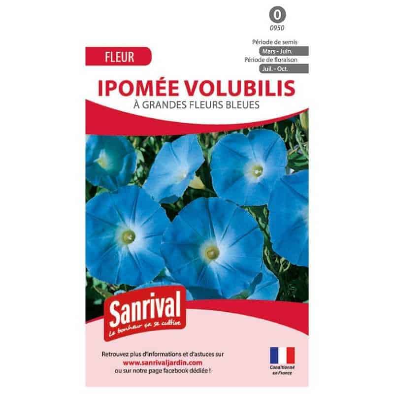 graines de Ipomée volubilis bleue - Jardin & Extérieur en promo à 2.49€