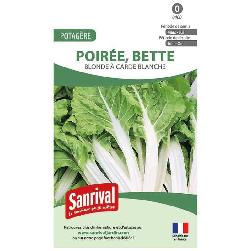 Graine de blette en promo à 1,89€ (-81%) sur Amazon FR