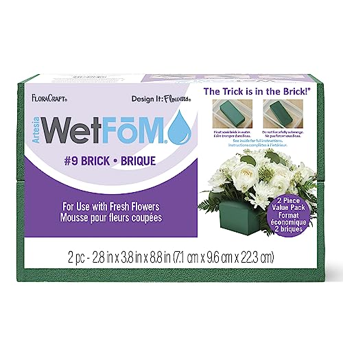 FloraCraft WetFoM Block 2/Pkg-8.9"X3.8"X2.8" FF2SP12 en promo à 14,78€ (-84%) sur Amazon FR