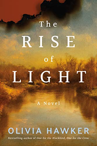 The Rise of Light: A Novel - Maison & Cuisine en promo à 1.00€