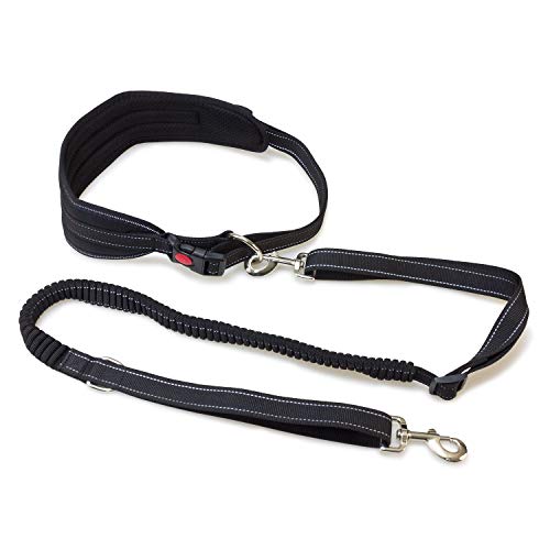 ARQUIVET Cintura con cinghia Canicross - Cinghia per cane... - Nouvelle promo Amazon à 9.66€
