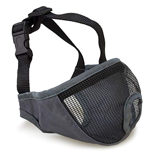 Arquivet Bozal para Perros de hocico Corto - Transpirable y... - Animalerie Amazon Espagne à 2.08€