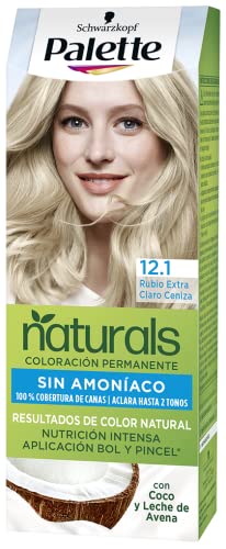 Palette Nc 12.1 Rubio Extra Pincel Es - Bricolage & Outils Amazon Allemagne à 4.31€