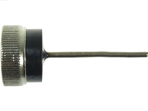 AS-PL Raddrizzatore Alternatore - Auto & Motorcycle Amazon Italy à 2.48€
