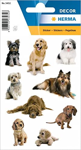 HERMA 3432 Adesivi Cani Piccolo Grande Confezione da 27... - Toys & Games Amazon Italy à 3.64€