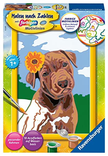 Ravensburger Pintura por números 28943 – Mejor Amigo –... - Jouets & Jeux Amazon Espagne à 5.78€
