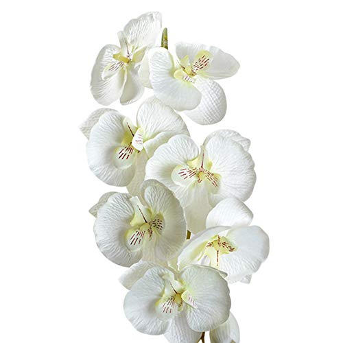 ZHOUBAA 1 Pc Fleur Artificielle Papillon Orchidée Jardin... - Loisirs Créatifs Amazon France à 2.29€