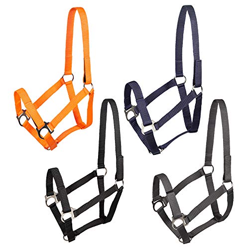 PFIFF 102921 Jocose Safety Headcollar Paddock Headcollar... - High-Tech & Électronique Amazon Royaume-Uni à 9.12€