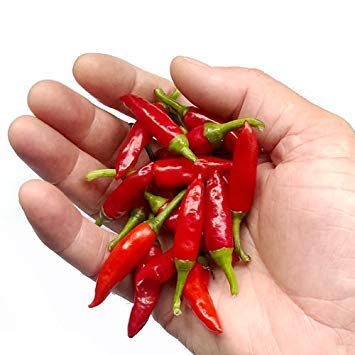 Krishna Jolokia 10 Chili Seeds by CHILLIESontheWEB - Pick... - Épicerie en promo à 1.59€