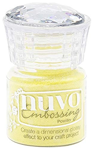 Nuvo Happy Daze Poudre à Embosser - Loisirs Créatifs Amazon France à 13.45€
