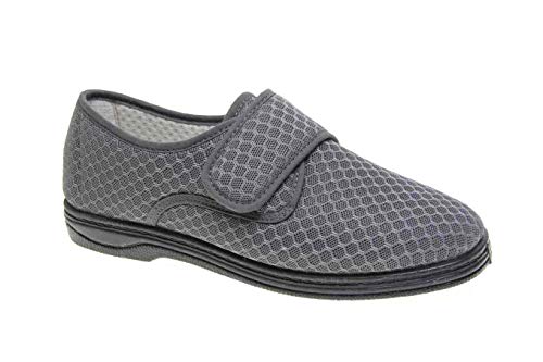 Contacte Establert (LP) - Home & Kitchen Amazon Spain à 11.60€