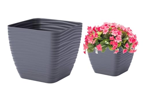 Form Plastic en promo sur Amazon