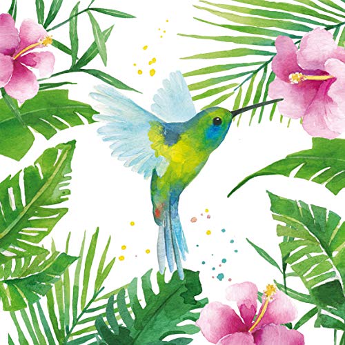 Lot de 20 serviettes colibri dans la forêt tropicale... - Maison & Cuisine Amazon France à 3.34€