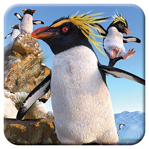 3D LiveLife sous Verre en Liège - Gorfou Sauteur de... - Maison & Cuisine Amazon France à 2.78€