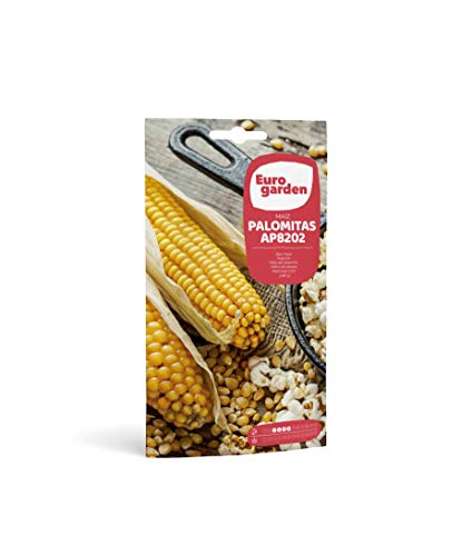 Eurogarden - Semillas Hortícolas. Maíz Palomitas - Jardin & Extérieur Amazon Espagne à 1.91€