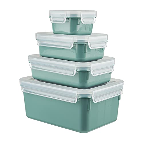 EMSA N1031000 Lot de boîtes de Conservation, Poudre Verte... - Maison & Cuisine Amazon France à 16.39€